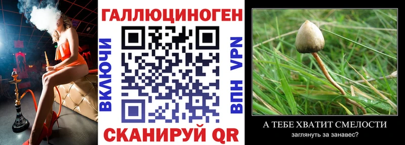 Псилоцибиновые грибы мицелий  Певек 